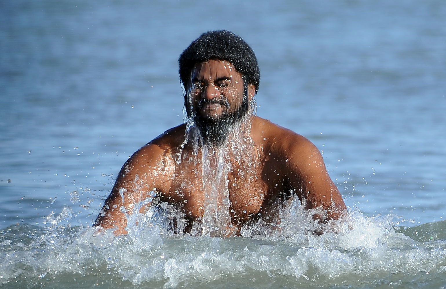 POLAR BEAR SWIM